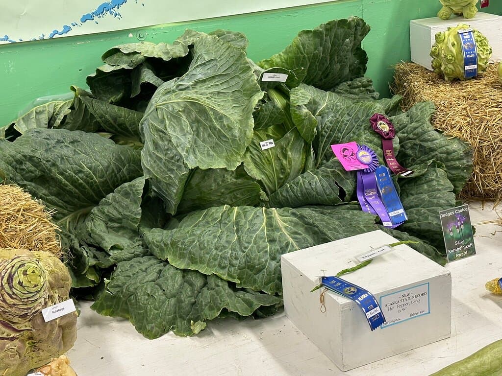 Alaska State Fairgrounds