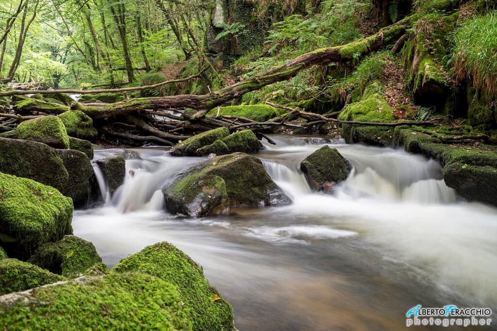 Golitha Falls Cornwall