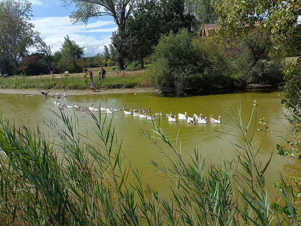 Parco di Levante