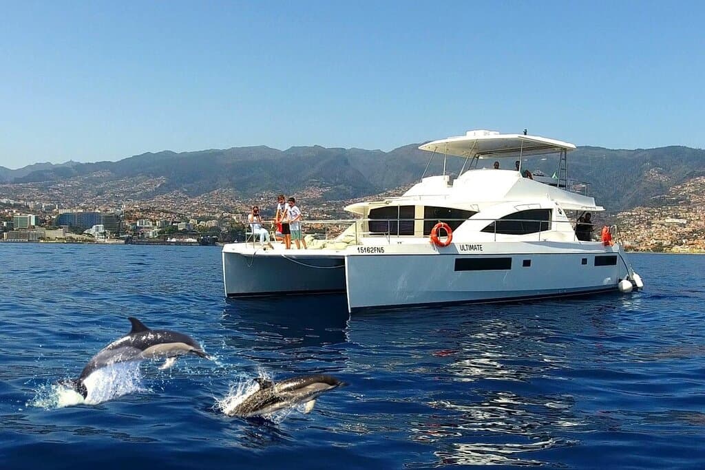 Whale & Dolphin Watching Funchal