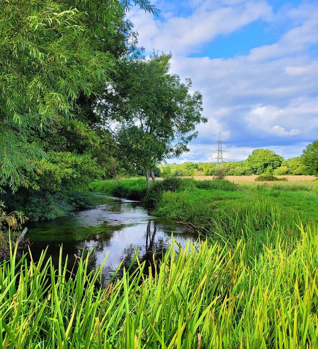 Alice Holt Forest