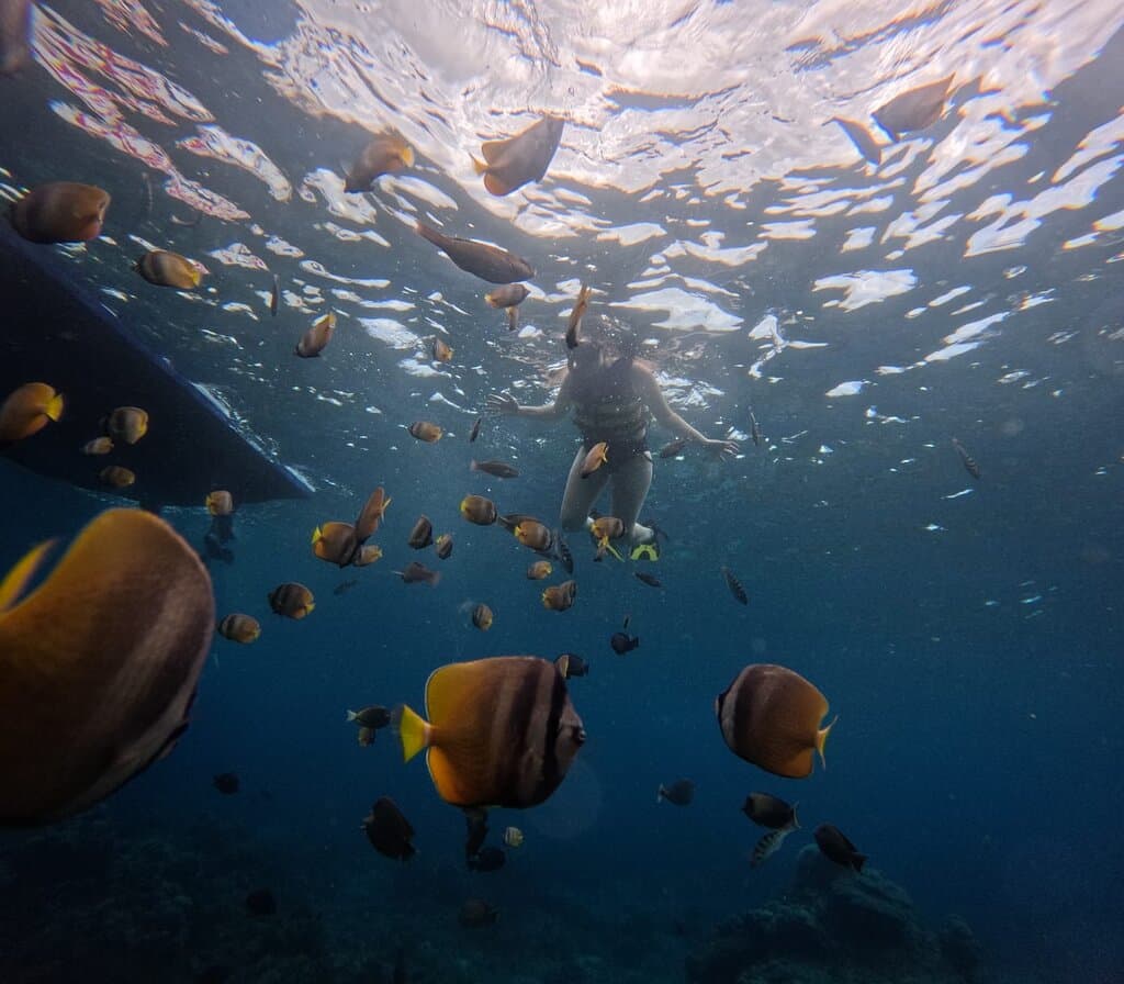 Snorkeling At Nusa Penida Gamat Bay