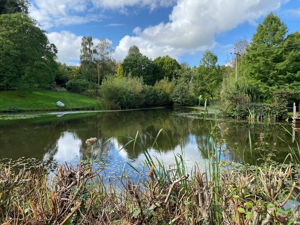 Bodenham Arboretum