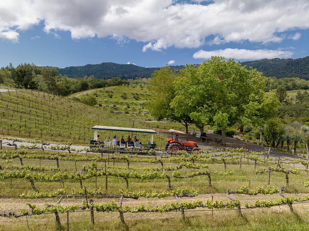 Our award-winning Biodynamic Tractor Tram Tour. Voted Best Winery Tour by USA Today 10Best.