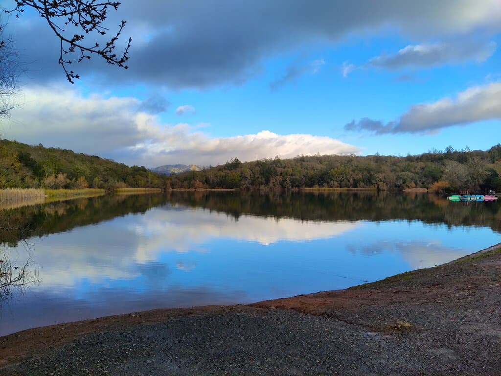 Howarth Park in Santa Rosa.  February 2023.