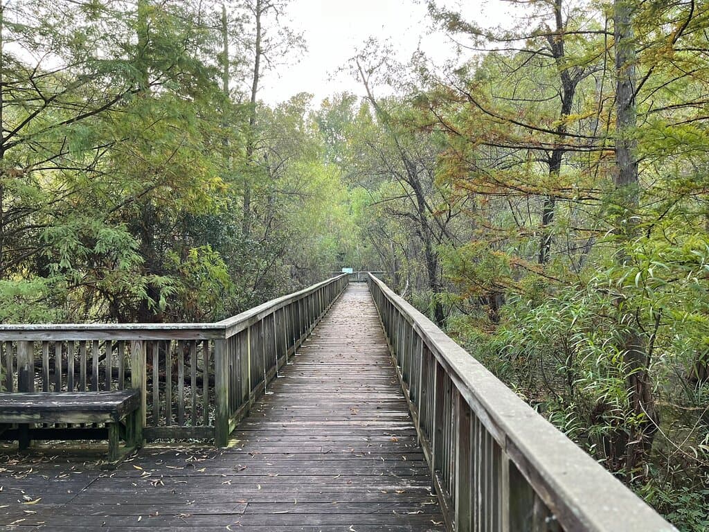 Angelica Creek Park The Nature Place
