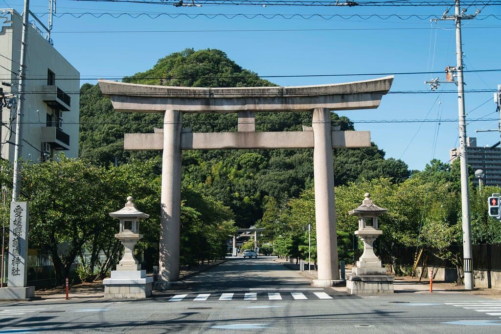 県道187号線(樋又通り)沿いにある大鳥居。境内入口へはこの鳥居をくぐり、約100m先になります