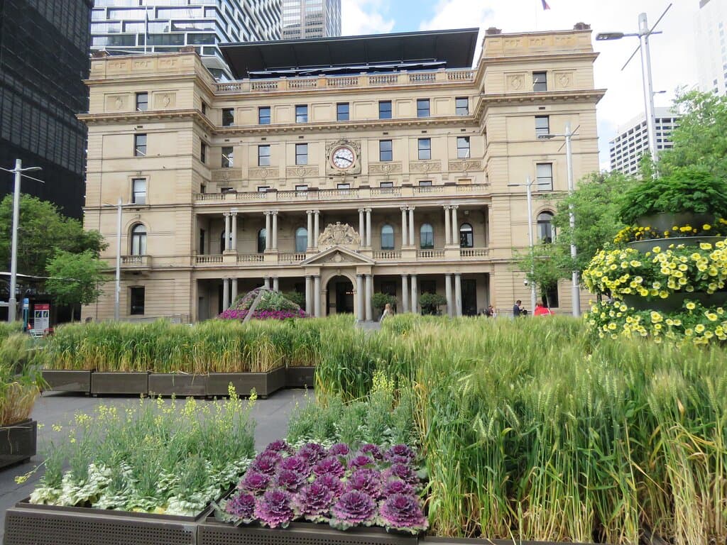 Handsome building with some lovely vegetation in the forecourt.