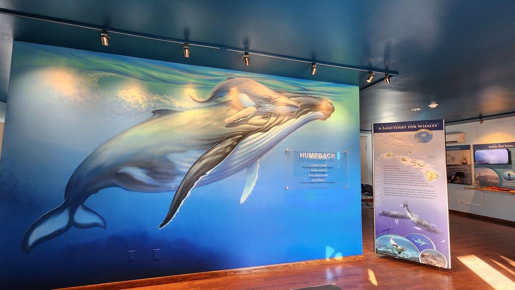 Whale exhibit in Hawaiian Islands Humpback Whale Kihei Visitor Center. 