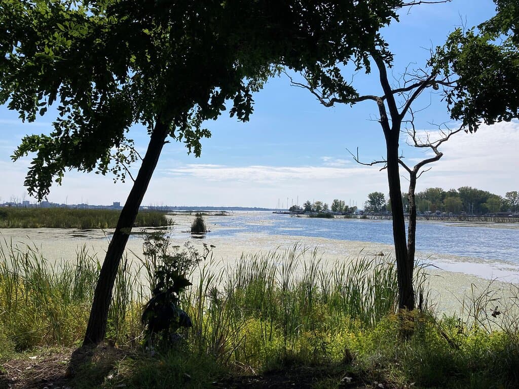 Here's a view from a bench near the parking area.