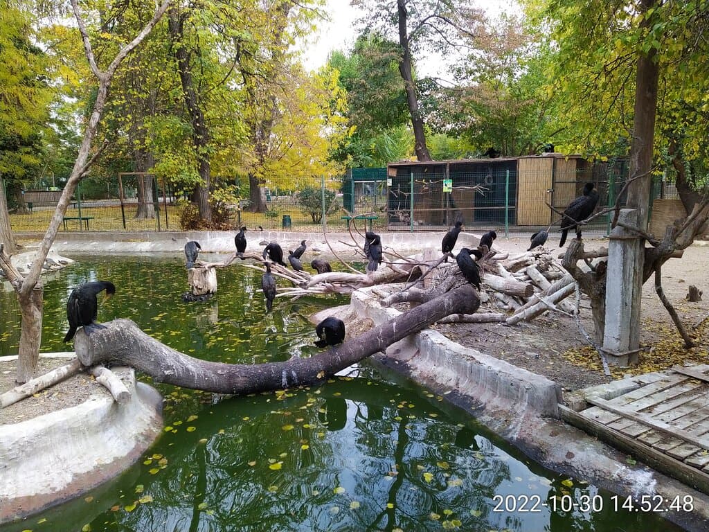 Odesa Zoo