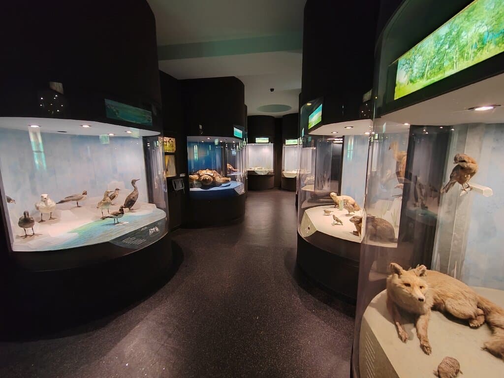 Natural History Museum Rijeka