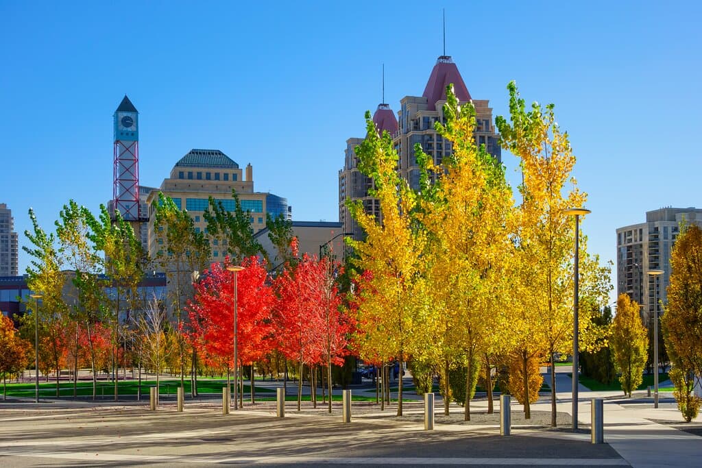 Celebration Square in Mississauga, Ontario is a vibrant gathering spot that hosts exciting events and concerts throughout the year. It's where the community comes together for good times and great memories.
