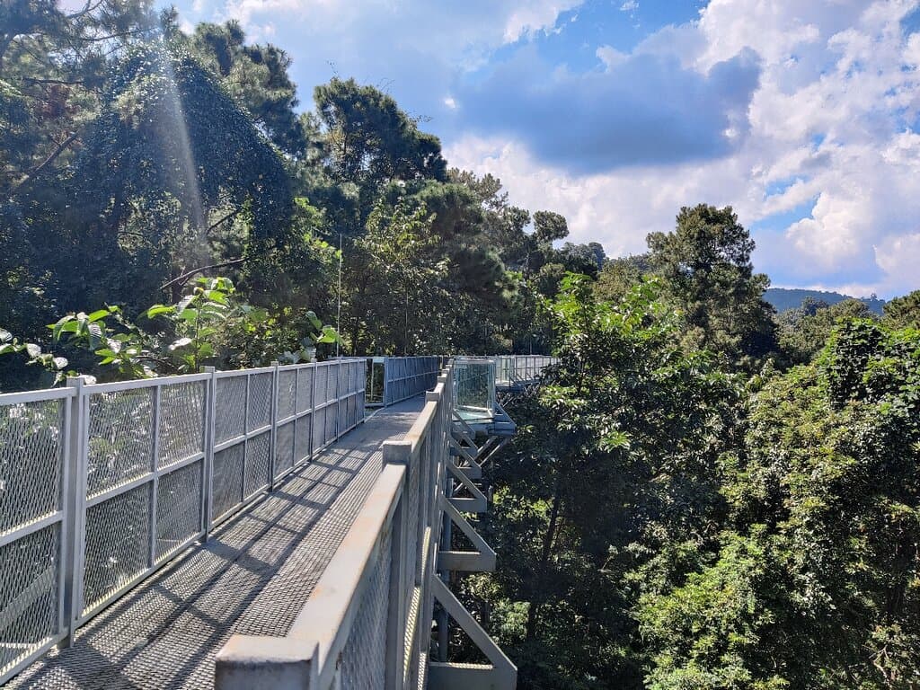 Kanta Pruksa Canopy Walkway