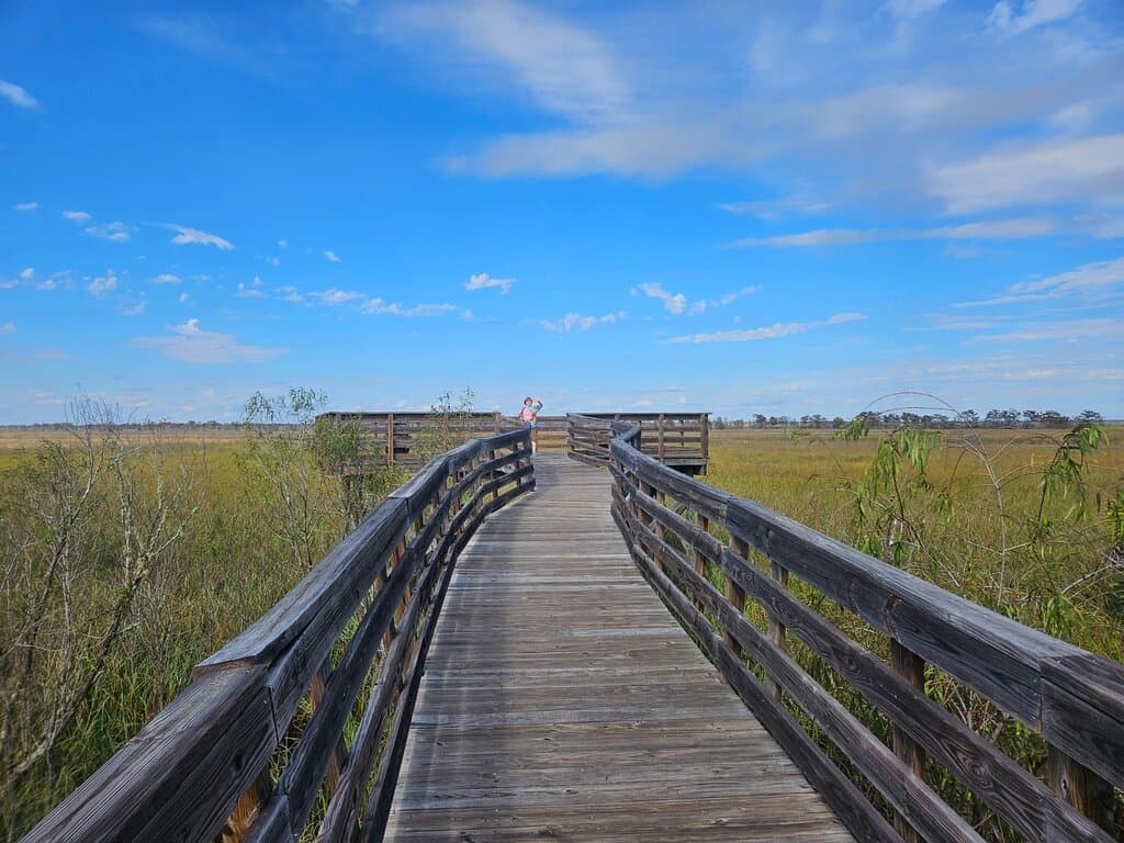 Great little place to walk after a nice lunch in town.
