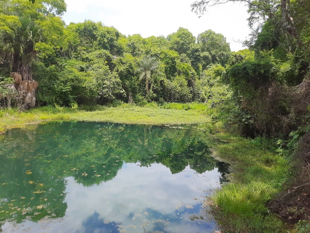 Parque Olhos d'Água