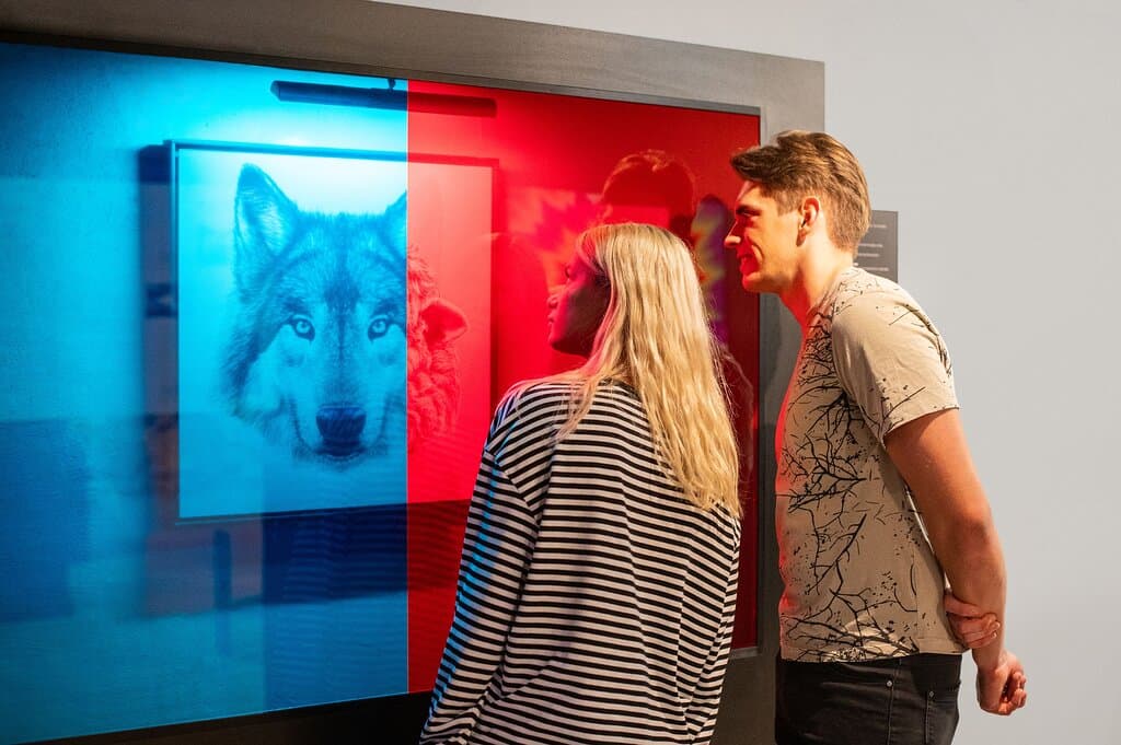 Vilnil - Museum of illusions