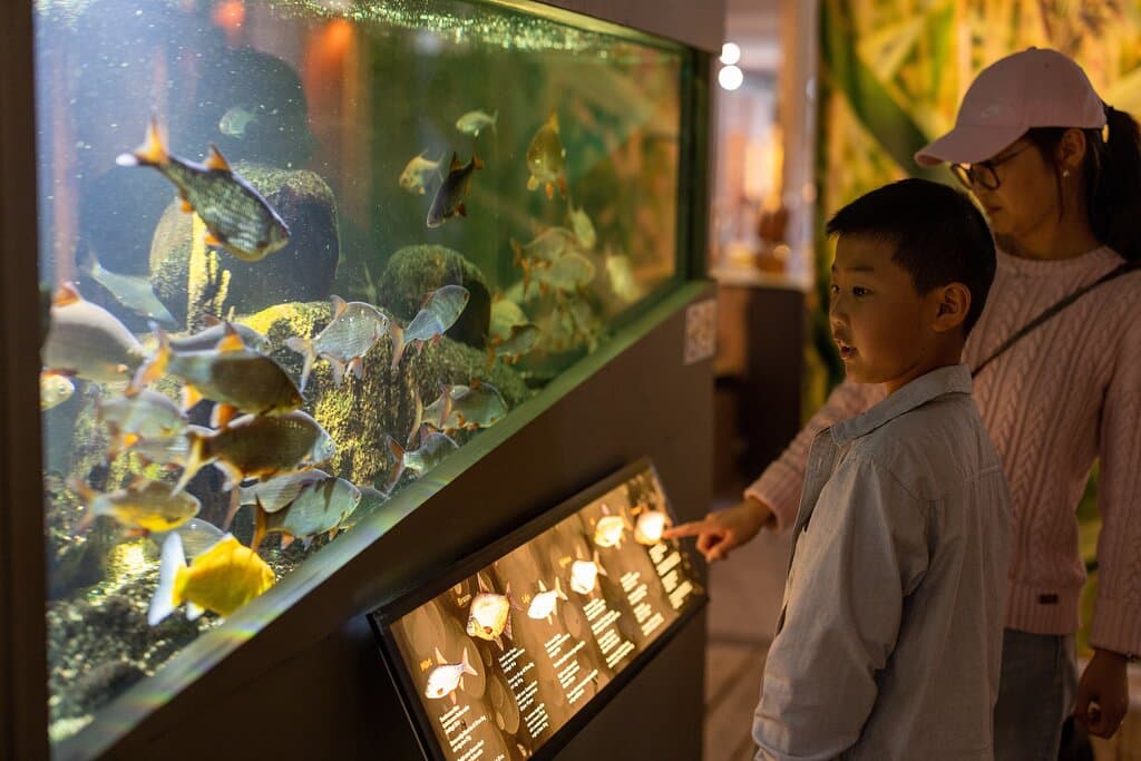 Lekfullt lärande på Vänermuseet