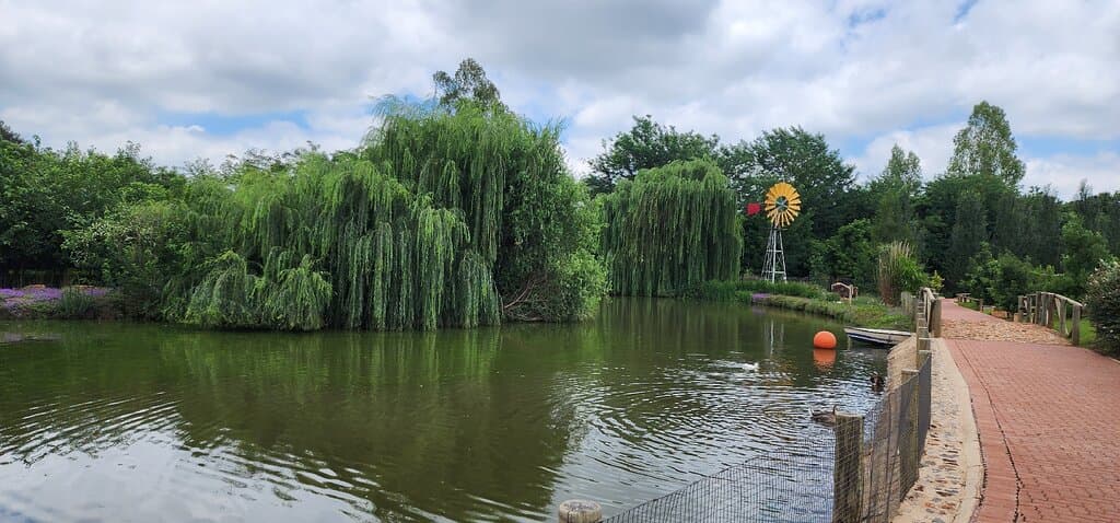 Explore the Turkish Eco Village
