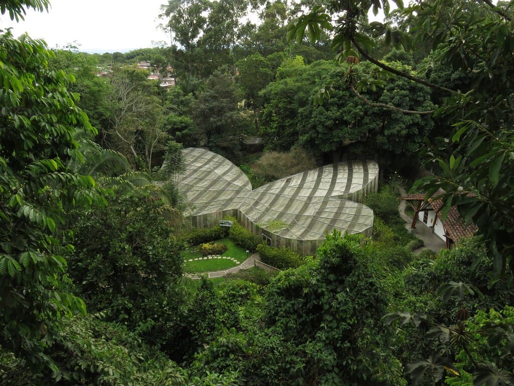 Contamos con el mariposario más grande de Colombia. Inspirado en la mariposa alas de cristal.
