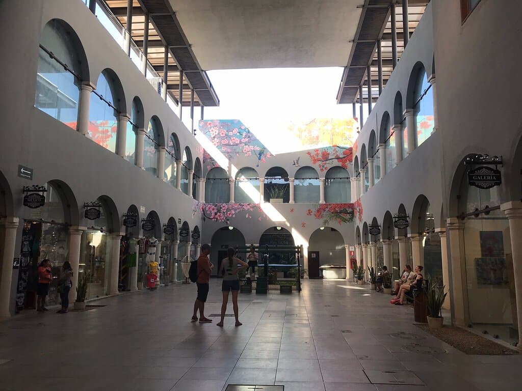 Pasaje Picheta