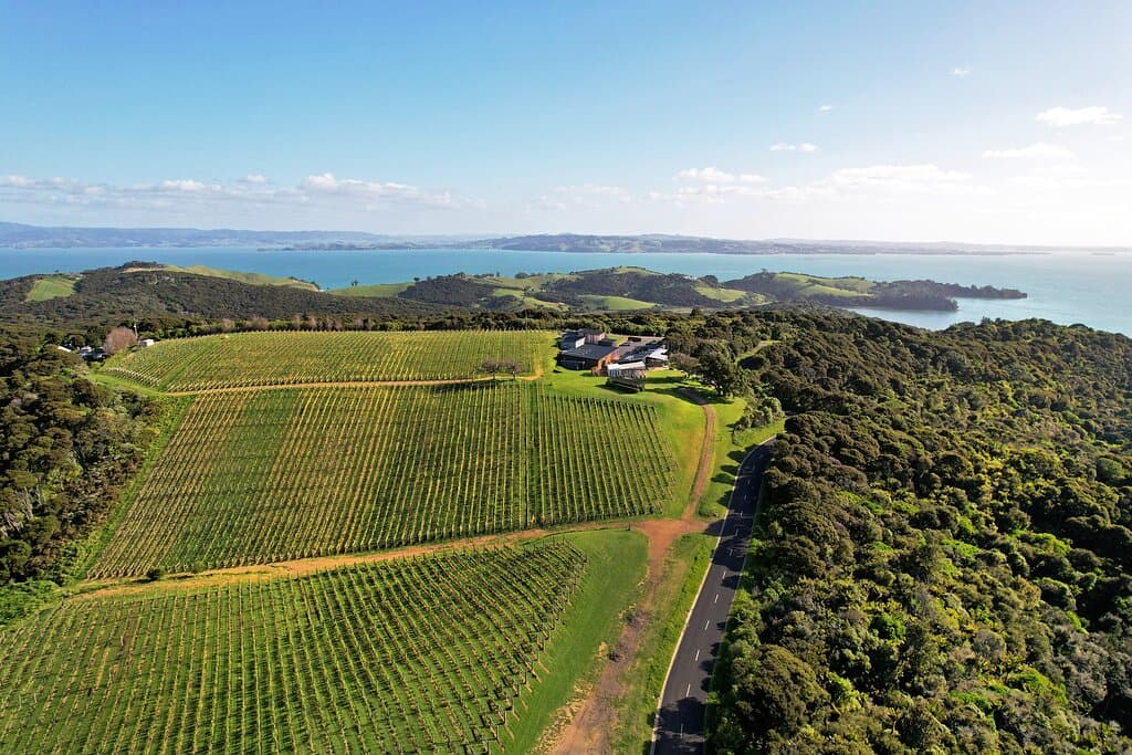 Batch Winery is your one-stop destination for great wine, food and views. Visit us on Waiheke's highest vineyard for tastings, lunch or dinner. Open 7 days a week!