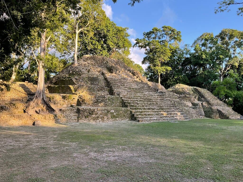 Part of the site