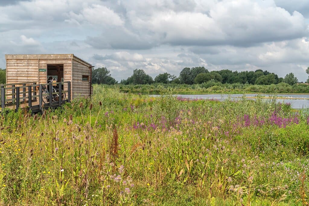 Bird hide looking out to wetlands at Floodplain Forest Nature Reserve.
