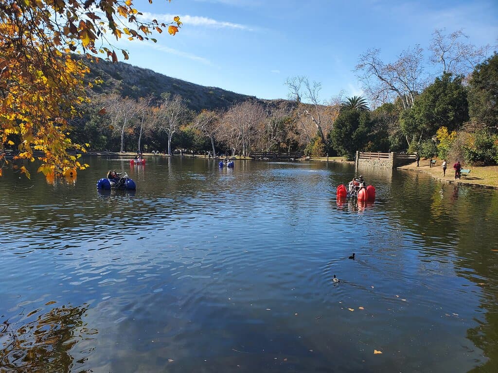 Paddle boats