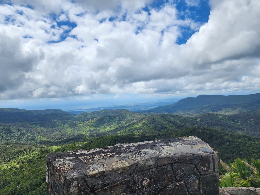Views from the top of Mt. Britton Lookout Tower