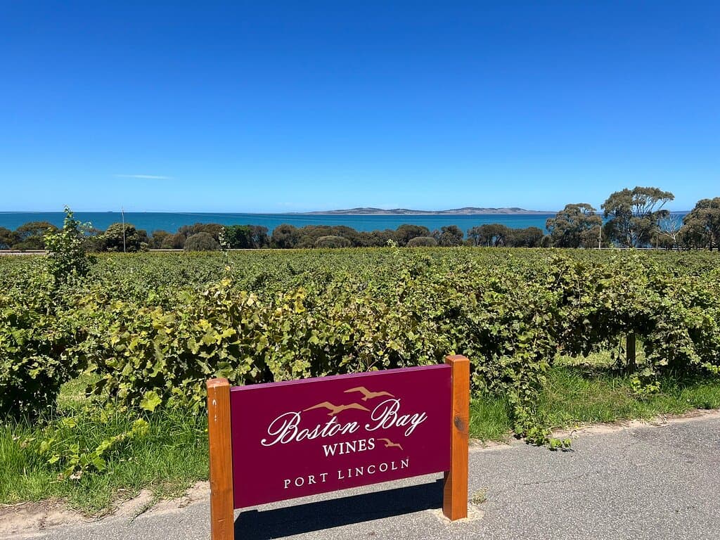 Boston Bay Wines