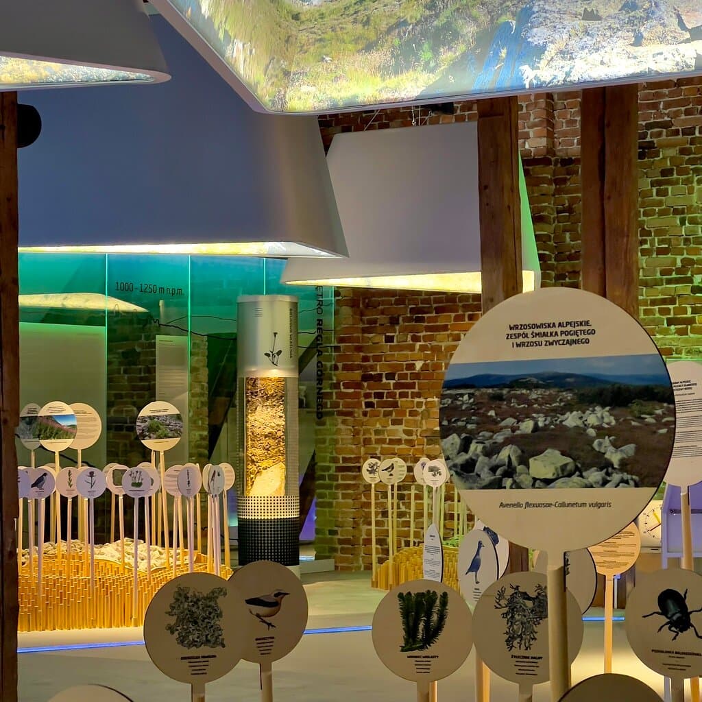 Świetne miejsce.  Obowiązkowy punkt na mapie będąc w Karkonoszach.