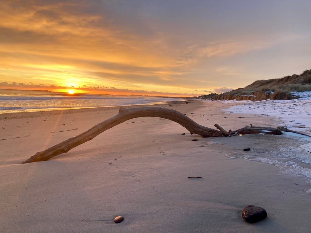 Warkworth Beach and Dunes