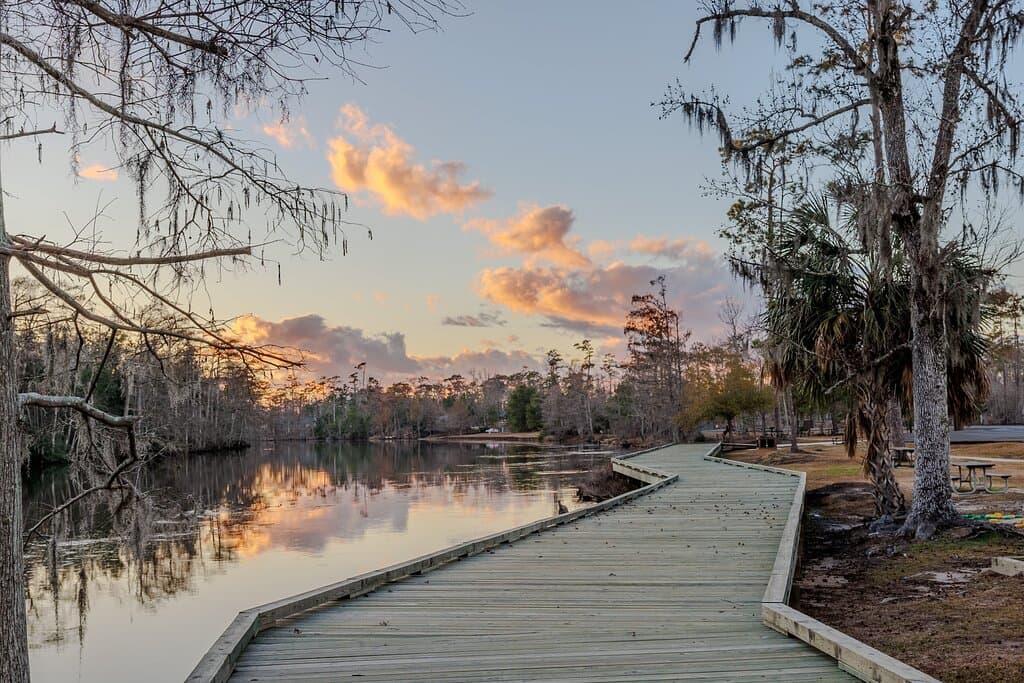 Sam Houston Jones State Park