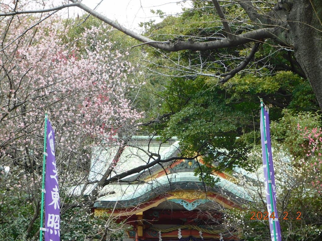 景観一例　2024年2月2日撮影