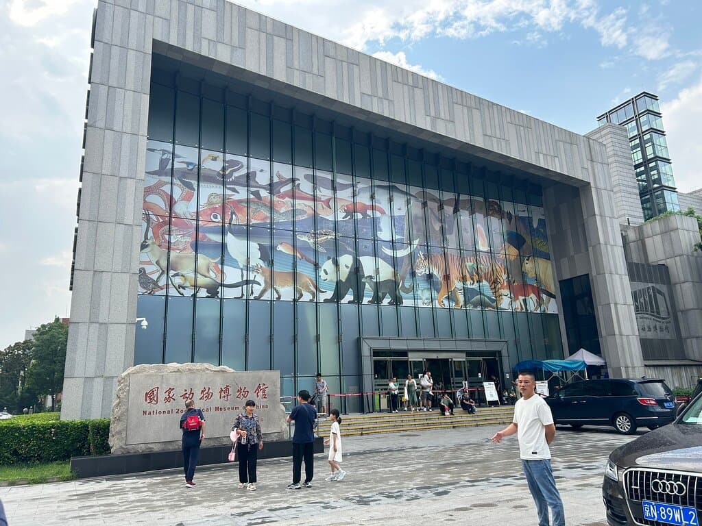Explore the Beijing Museum of Ancient Chinese Zoology