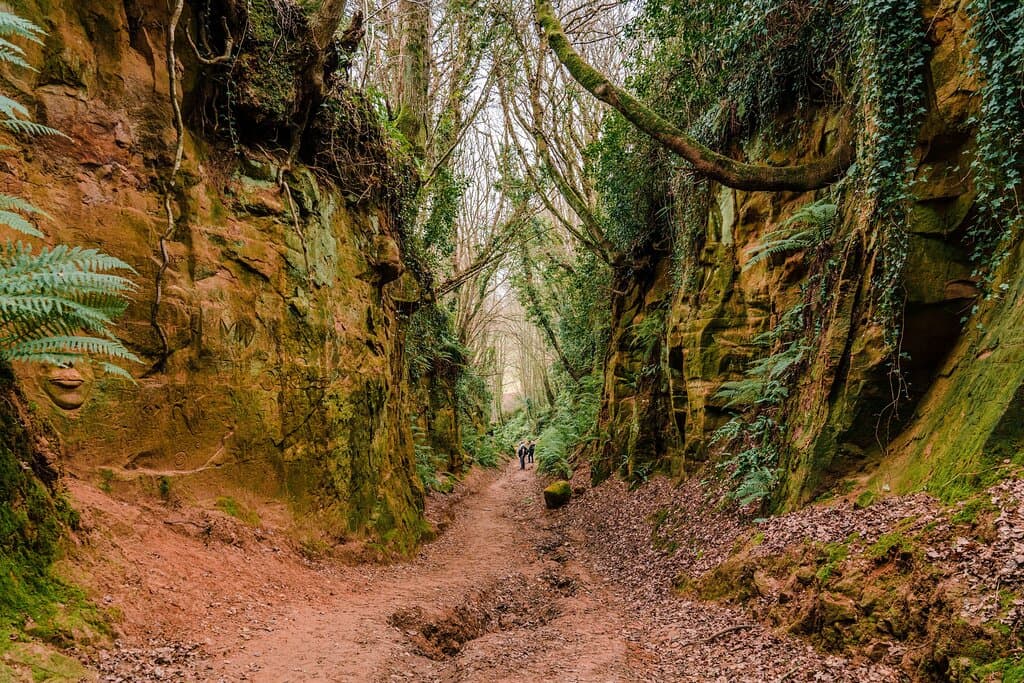 Wander along Shute’s Lane, named as one of the UK’s most striking examples of a sunken path