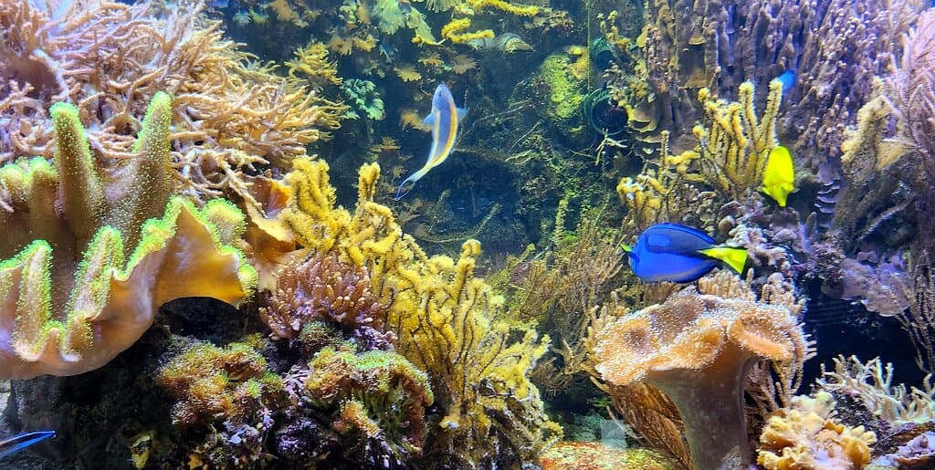 Aquarium Wilhelmshaven