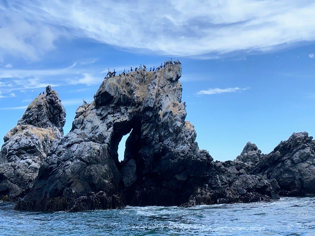 Reserva Nacional Pingüino de Humboldt