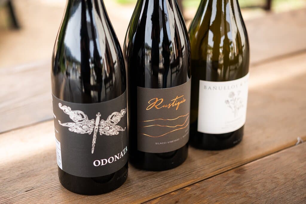 Salinas Valley wines we tried: Odonata Wines, Bañuelos & Violini, Rustiqué Wines | photo by James Collier