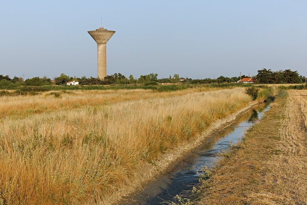 Vue de Kulmino depuis le marais 
(c) Louis-Marie Préau
