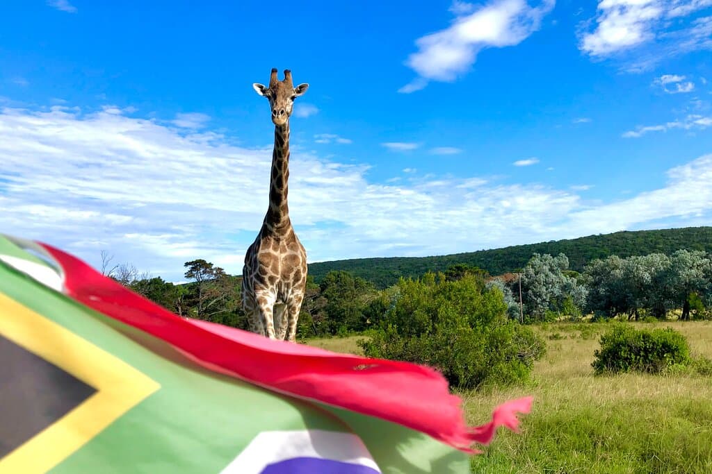 Areena Riverside Resort