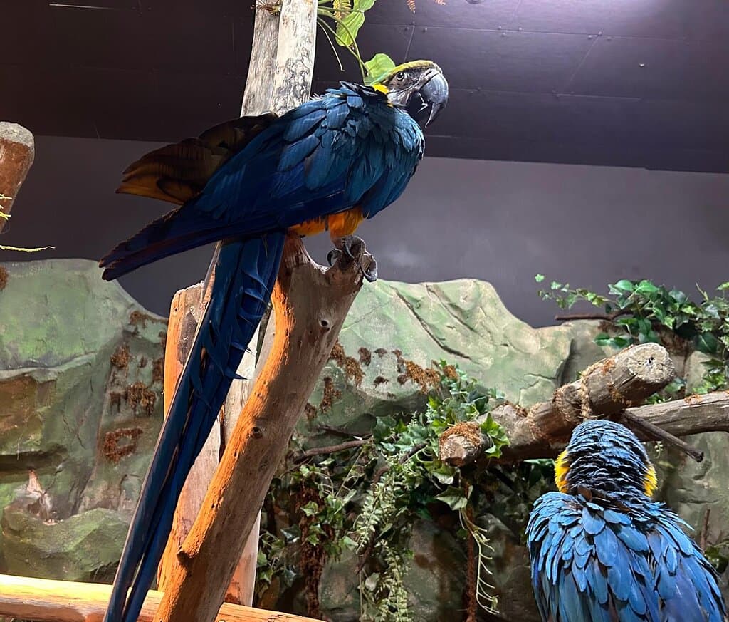 Get Up Close with Animals at Zoolung Zoolung