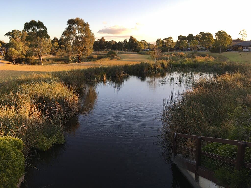 Good habitat for water birds