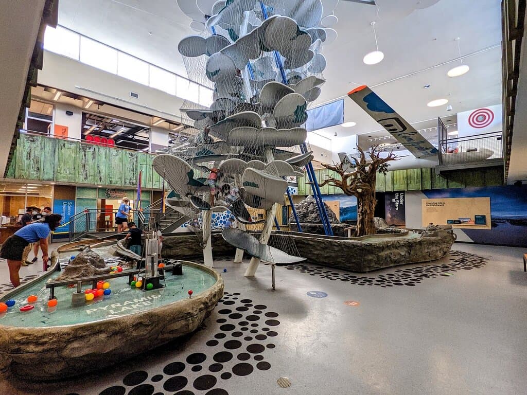 Lower atrium