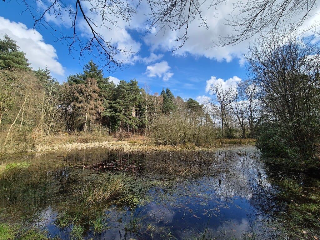 Holt Country Park Holt
