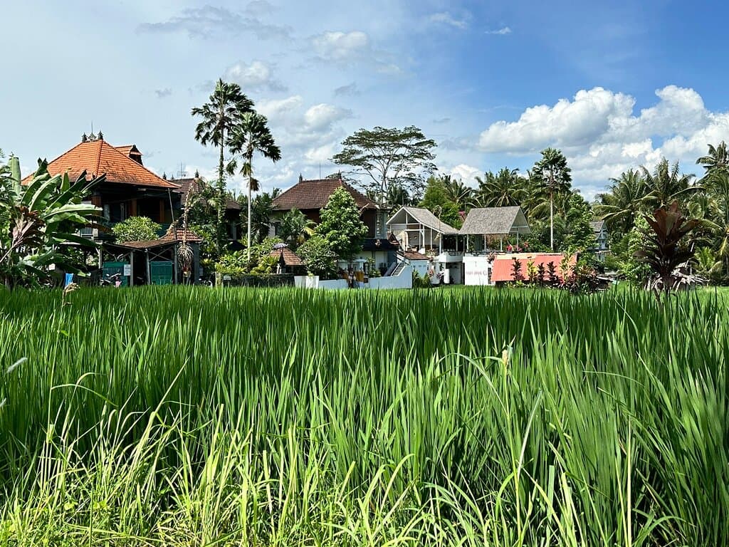 Sari Organik Walk Ubud Bali