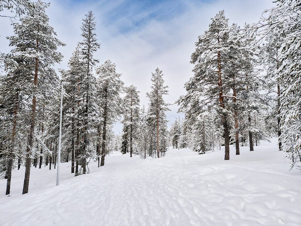 Ounasvaara Hill Rovaniemi