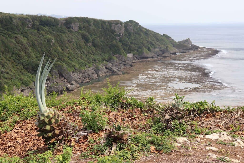 海側からの眺めが素晴らしい！