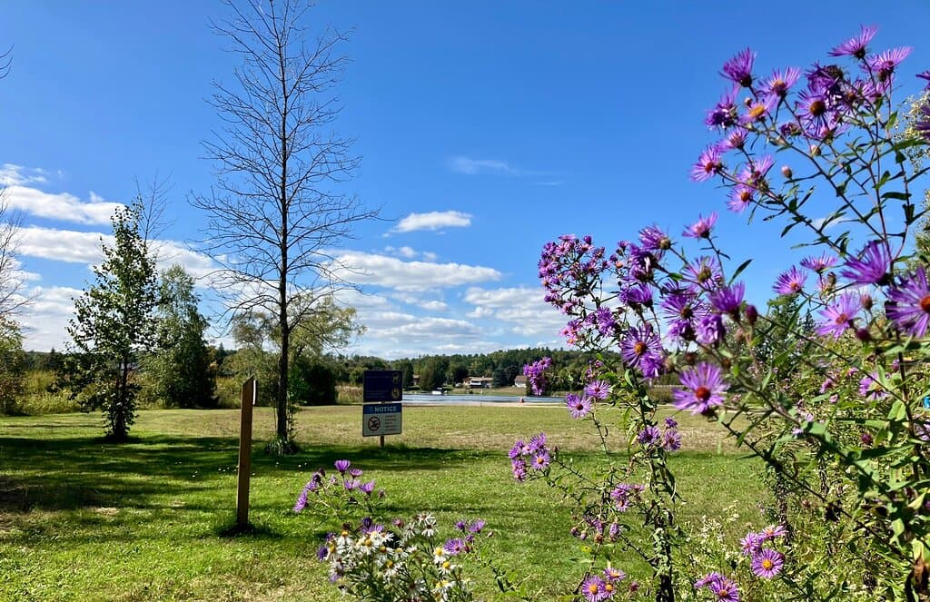 Emily Provincial Park